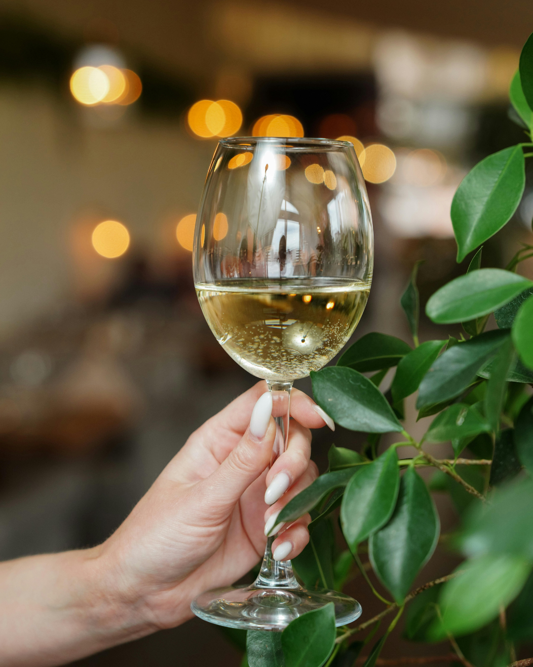 Partner Series Riesling 2024, Clare Valley