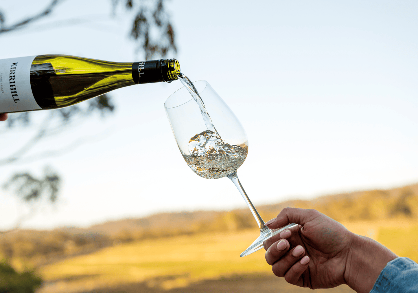 Regional Series Shiraz 2022, Clare Valley